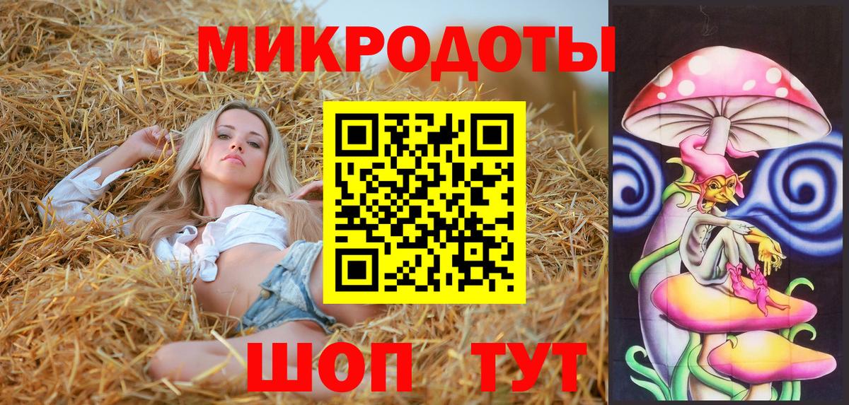 Галлюциногенные грибы Psilocybine cubensis Лысьва