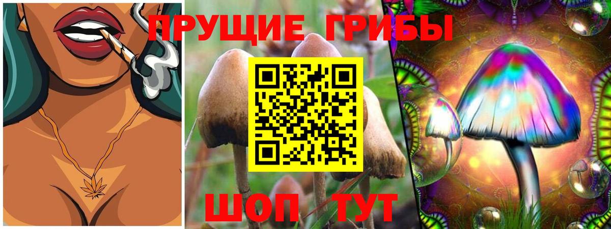 Галлюциногенные грибы Cubensis  Вход с VPN  Лысьва  Галлюциногенные грибы Magic Shrooms 